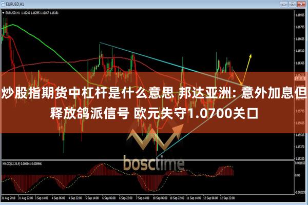 炒股指期货中杠杆是什么意思 邦达亚洲: 意外加息但释放鸽派信号 欧元失守1.0700关口