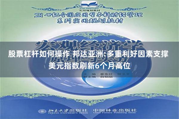 股票杠杆如何操作 邦达亚洲:多重利好因素支撑 美元指数刷新6个月高位