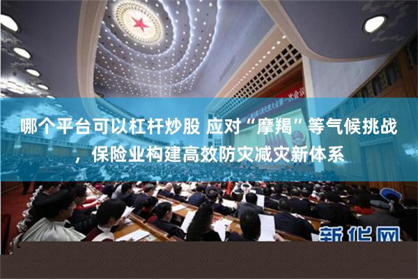 哪个平台可以杠杆炒股 应对“摩羯”等气候挑战，保险业构建高效防灾减灾新体系