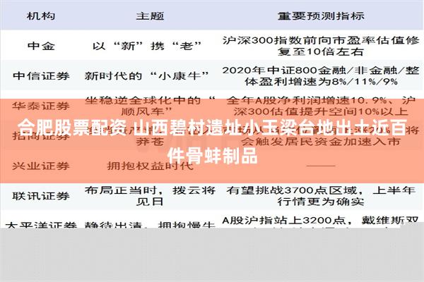 合肥股票配资 山西碧村遗址小玉梁台地出土近百件骨蚌制品