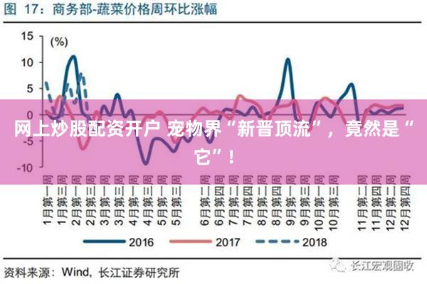 网上炒股配资开户 宠物界“新晋顶流”，竟然是“它”！