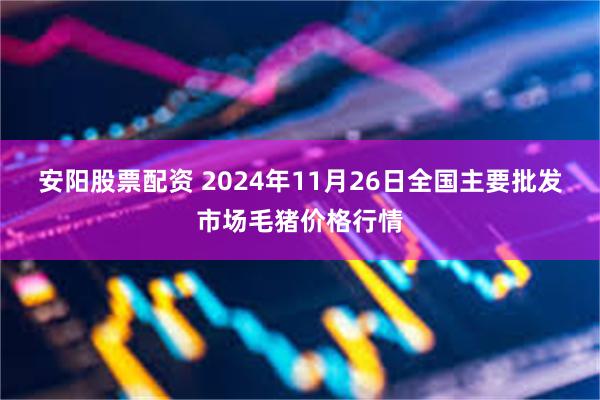 安阳股票配资 2024年11月26日全国主要批发市场毛猪价格行情