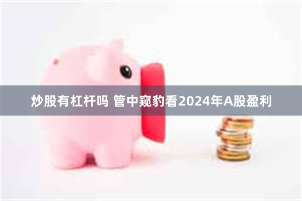 炒股有杠杆吗 管中窥豹看2024年A股盈利