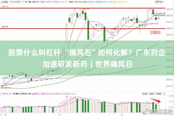 股票什么叫杠杆 “痛风石”如何化解？广东药企加速研发新药｜世界痛风日
