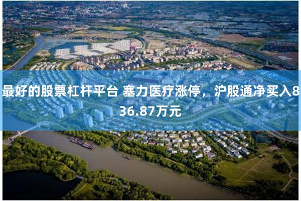 最好的股票杠杆平台 塞力医疗涨停，沪股通净买入836.87万元
