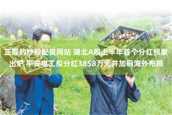 正规的炒股配资网站 湖北A股上半年首个分红预案出炉 平安电工拟分红3858万元并加码海外布局